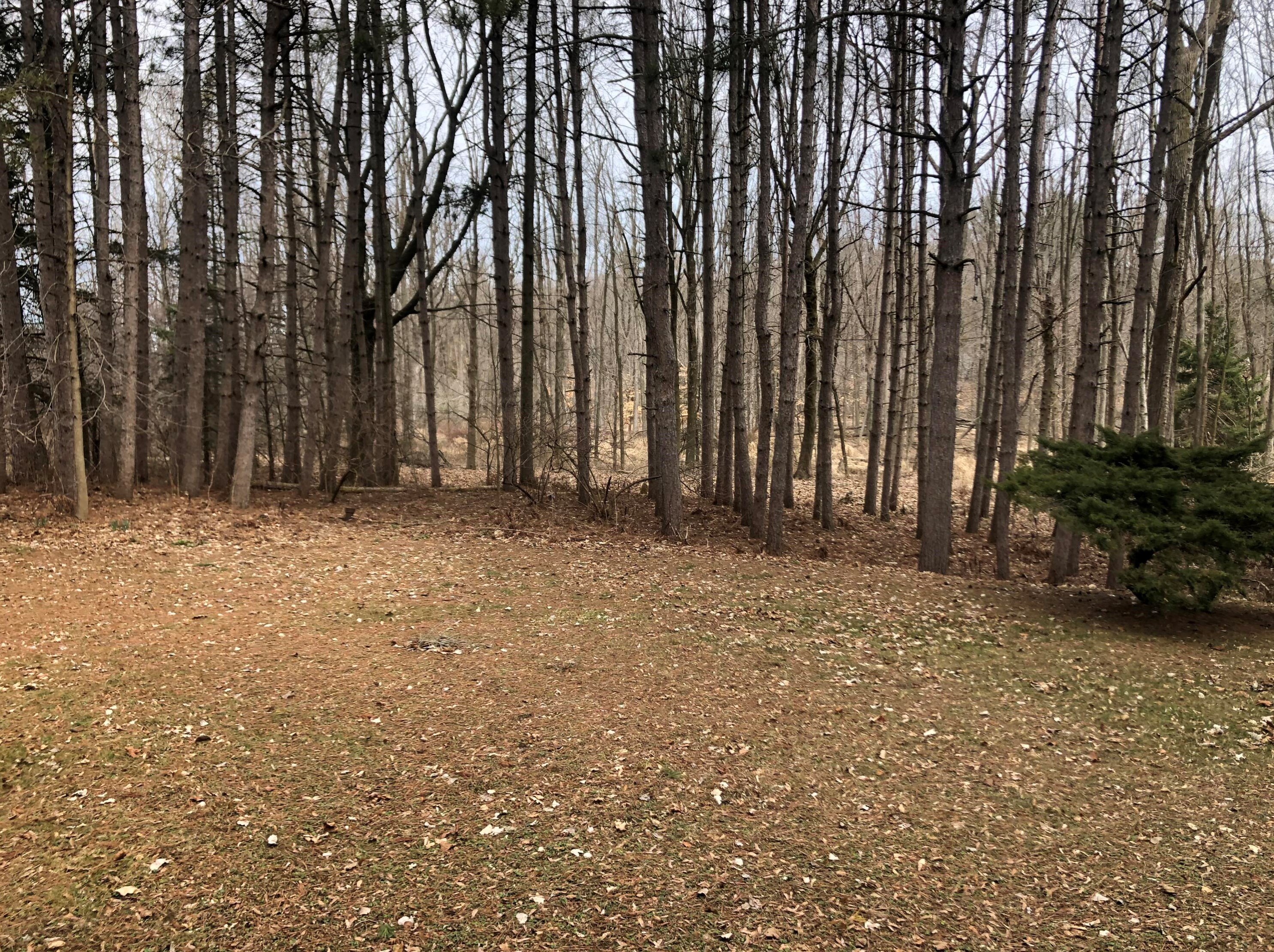 1314 Stahl Rd, Sheboygan WI 53081-8894 exterior