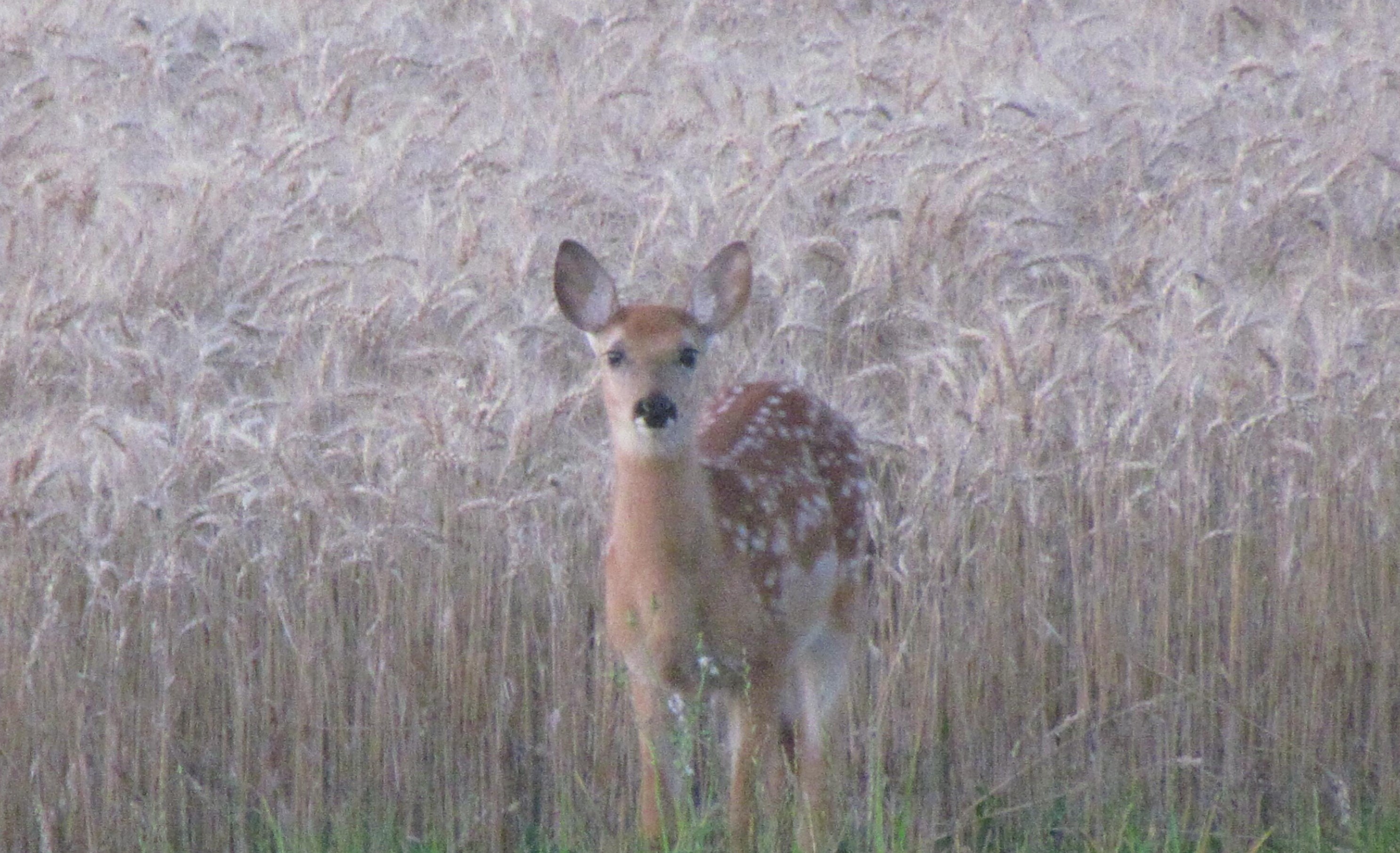 15714 Braun Rd, Sturtevant WI 53177-9433 exterior