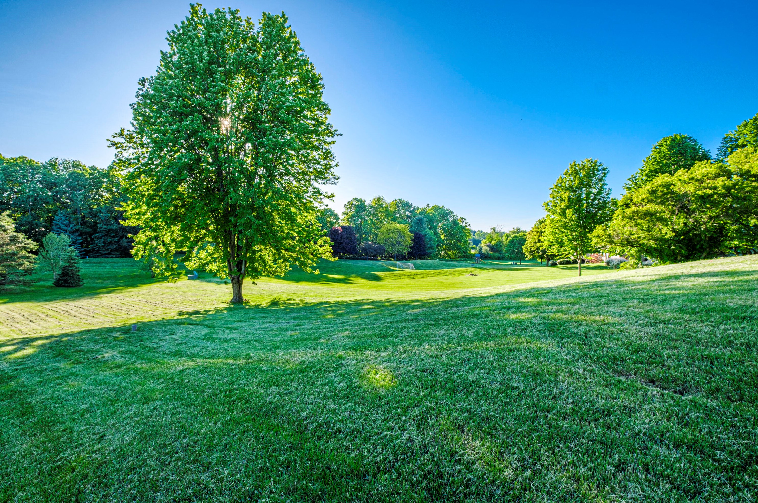 733 Charolais Dr, Slinger WI 53086-9313 exterior