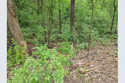 Lt4  Wisconsin Pkwy, Richmond, WI 53115 - Photo 5