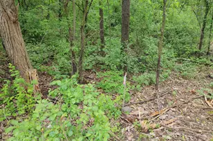 Lt4 Wisconsin Parkway, Richmond, WI 53115 - Photo 5