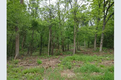 Lt4  Wisconsin Pkwy, Richmond, WI 53115 - Photo 9