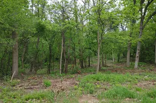 Lt4 Wisconsin Parkway, Richmond, WI 53115 - Photo 9