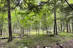 6860 Bay Shore Dr, Egg Harbor, WI 54209 - Photo 25