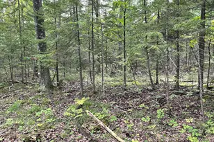 6860 Bay Shore Dr, Egg Harbor, WI 54209 - Photo 17