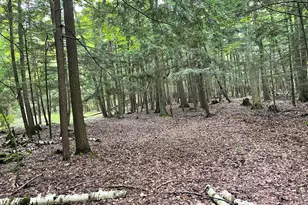 6860 Bay Shore Dr, Egg Harbor, WI 54209 - Photo 15