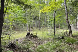 6860 Bay Shore Dr, Egg Harbor, WI 54209 - Photo 19