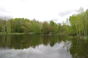 N11502 Nelson Rd, Athelstane, WI 54177 - Photo 51