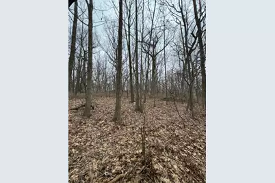 W316S198  Highway 83 - #Lt 2, Delafield, WI 53018 - Photo 11