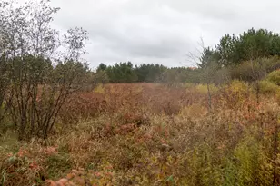 W12103 Highland Rd, Ackley, WI 54409 - Photo 45