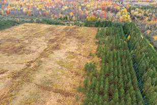 W12103 Highland Rd, Ackley, WI 54409 - Photo 11