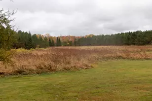 W12103 Highland Rd, Ackley, WI 54409 - Photo 47