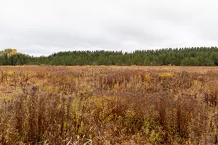 W12103 Highland Rd, Ackley, WI 54409 - Photo 37