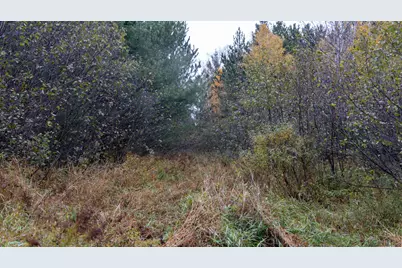 W12103  Highland Rd, Ackley, WI 54409 - Photo 39