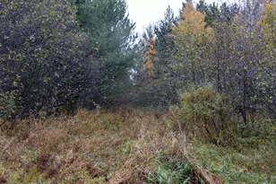 W12103 Highland Rd, Ackley, WI 54409 - Photo 39