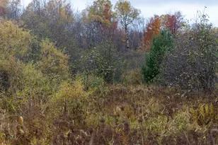 W12103 Highland Rd, Ackley, WI 54409 - Photo 41