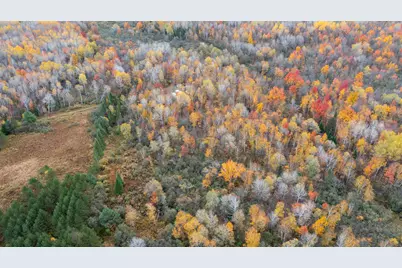 W12103  Highland Rd, Ackley, WI 54409 - Photo 15