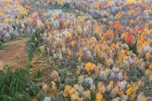 W12103 Highland Rd, Ackley, WI 54409 - Photo 15