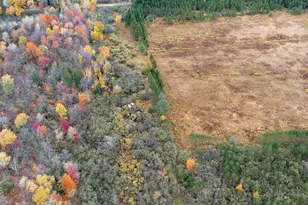 W12103 Highland Rd, Ackley, WI 54409 - Photo 21