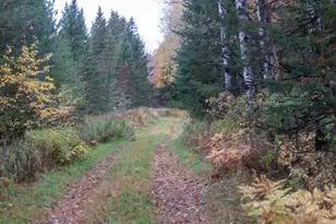 W12103 Highland Rd, Ackley, WI 54409 - Photo 43