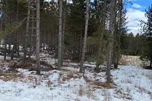 Lt2 Twin Lake Rd, Dunbar, WI 54119 - Photo 1