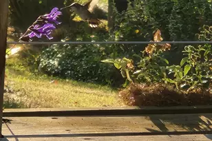 7715 W Wind Lake Rd, Racine, WI 53185 - Photo 53