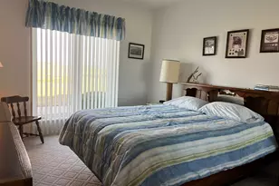 3 Carlock Dr, Danforth, IL 60930 - Photo 29