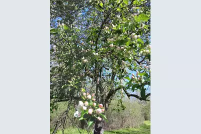 1115  Greendale Rd, Sheboygan, WI 53081 - Photo 37