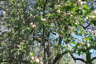 1115 Greendale Rd, Sheboygan, WI 53081 - Photo 37