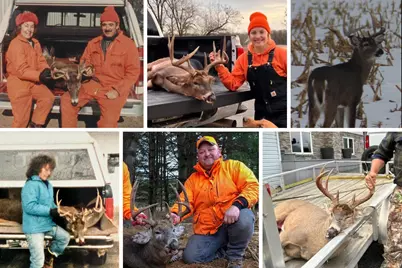 N5956  Town Shop Rd, Fountain, WI 54618 - Photo 29