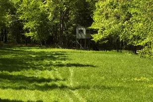 N5956 Town Shop Rd, Fountain, WI 54618 - Photo 37