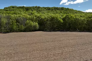 N5956 Town Shop Rd, Fountain, WI 54618 - Photo 43