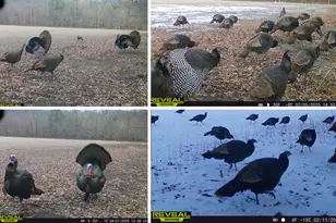 N5956 Town Shop Rd, Fountain, WI 54618 - Photo 41