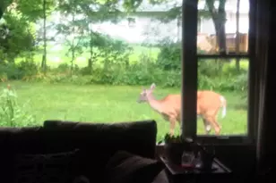 2347 N 117th St, Wauwatosa, WI 53226 - Photo 31