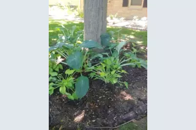2347 N 117th St, Wauwatosa, WI 53226 - Photo 9