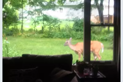 2347 N 117th St, Wauwatosa, WI 53226 - Photo 33