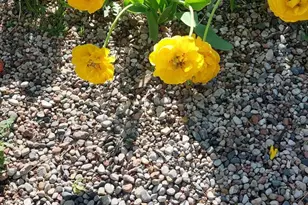 2347 N 117th St, Wauwatosa, WI 53226 - Photo 27