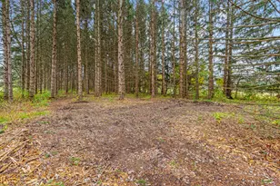 W288S250 Elmhurst Rd, Delafield, WI 53188 - Photo 25