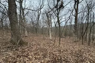 W316S198 Hwy 83 -, Delafield, WI 53018 - Photo 13