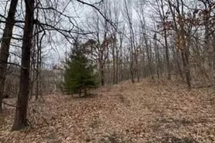 W316S198 Hwy 83 -, Delafield, WI 53018 - Photo 9