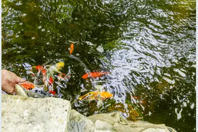 205  Kummrow Ct, Wales, WI 53183 - Photo 67