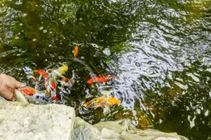 205 Kummrow Ct, Wales, WI 53183 - Photo 67