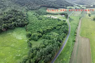 W25757 Bear Coulee Rd, Dodge, WI 54661 - Photo 59