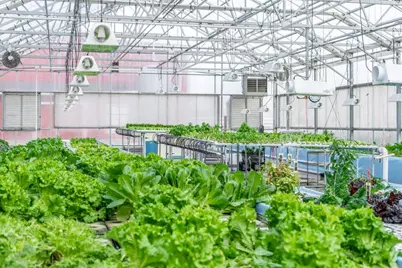 W839  Lake Orchard Ct, Mosel, WI 53083 - Photo 5