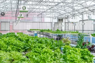 W839 Lk Orch Ct, Mosel, WI 53083 - Photo 5