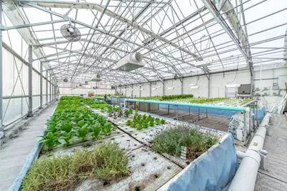 W839  Lake Orchard Ct, Mosel, WI 53083 - Photo 7