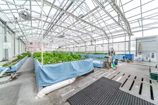 W839 Lk Orch Ct, Mosel, WI 53083 - Photo 11