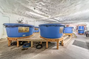 W839 Lk Orch Ct, Mosel, WI 53083 - Photo 15