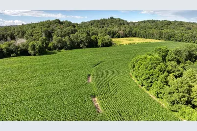 0  Hammer Rd, Sparta, WI 54656 - Photo 5