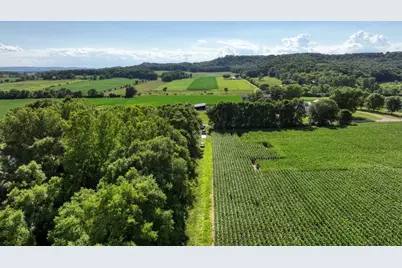 0  Hammer Rd, Sparta, WI 54656 - Photo 3